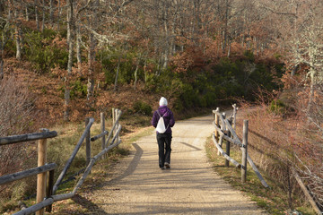 Obraz premium caminando por la ruta del ferrocarril minero en Burgos