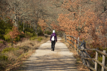Obraz premium caminando por la ruta del ferrocarril minero en Burgos