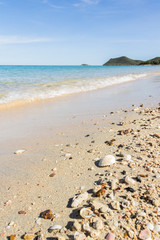 Fototapeta na wymiar Summer concept with sandy beach, shells