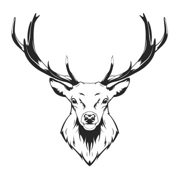 Christmas Deer vector illustration