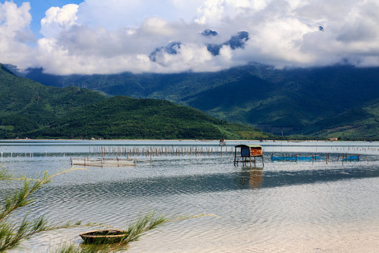 Lap An lagoon, Lang Co town, Hue, Vietnam. This lagoon is an 800 ha brackish water lagoon and a favourite destination for photographers, especially in the sunset.