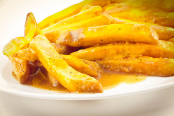 Gravy and Cheese Disco Fries