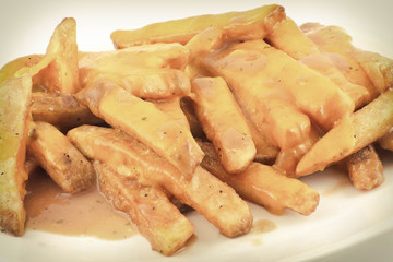 Gravy and Cheese Disco Fries