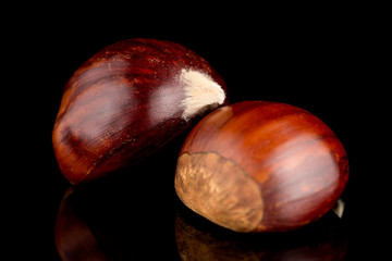 Chestnuts on a black reflective background