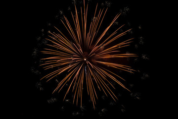 Fototapeta premium Colorful fireworks over dark sky