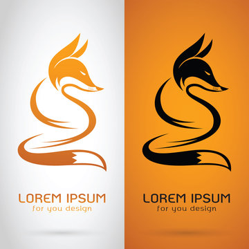 Vector image of an fox design on white background and orange bac