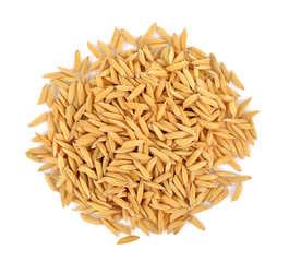 rice seeds on white background