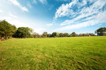 Fototapeta premium skyline and meadow in city park