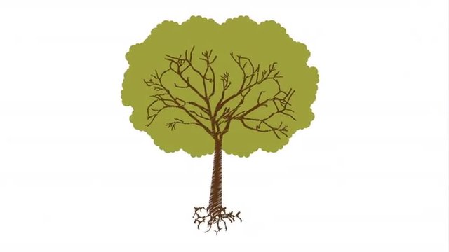 Ecology design with tree, Video Animation 