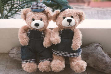 two teddy bears on wood background