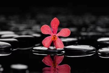 Foto op Plexiglas Zen stones and orchid © Mee Ting