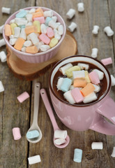 Obraz na płótnie Canvas Hot chocolate with marshmallows