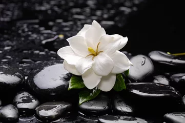 Rolgordijnen gardenia with candle on black pebbles  © Mee Ting