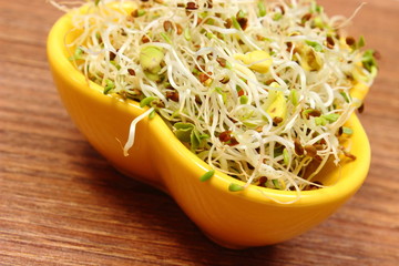Bowl with alfalfa and radish sprouts on wooden table