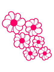 pink pattern design flower daisy buttercup daisy beautiful