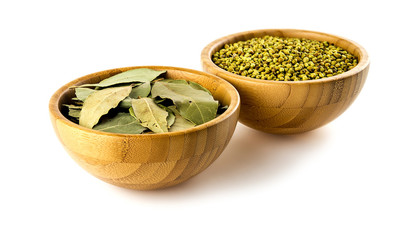 Indian cassia leaves and cilantro seeds studio isolated