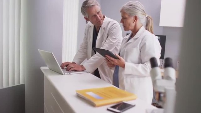 Senior male medical doctor typing while talking to colleague