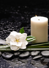 Still life with gardenia flowers with candle on therapy stones 
