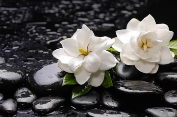 Foto op Canvas Still life with two gardenia with green plant on black pebbles  © Mee Ting