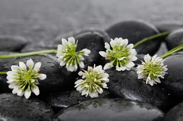 Keuken spatwand met foto Set of tropical flowers with therapy stones  © Mee Ting