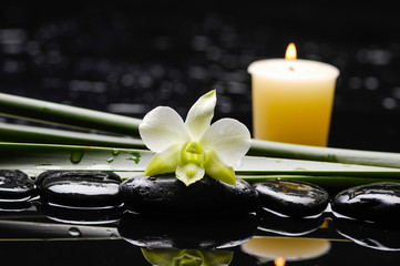 White orchid with plant with candle on black stones