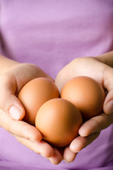 Fresh Eggs are holding by hand