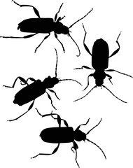 set of black bug silhouettes isolated on white