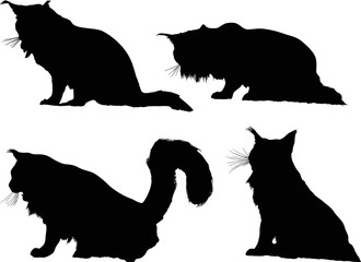 four isolated cat silhouettes collection