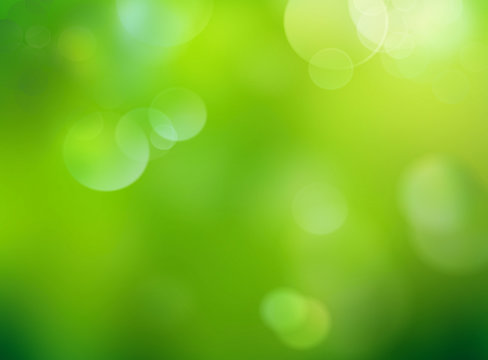 Blur green nature defocused background.Abstract spring wallpaper