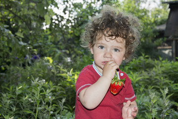 In summer the garden a little curly girl eats strawberries.