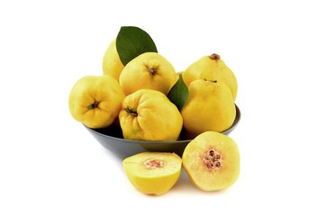 Fruit of Quince.