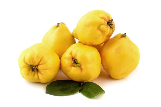 Fruit of Quince.