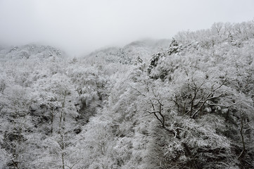 雪の丹波山