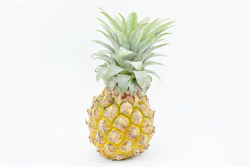Gold Pineapple on white background