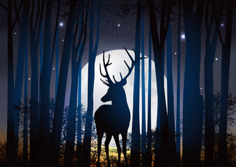 Obraz premium Cerf_Lune Foret