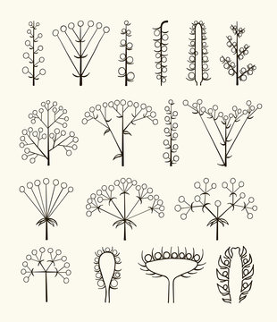 Set of vector different types of inflorescence isolated on white.