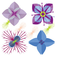 Vector four colorful exotic flowers.