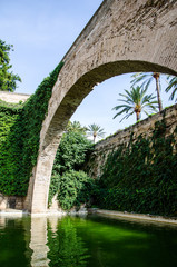 Stagno con arco