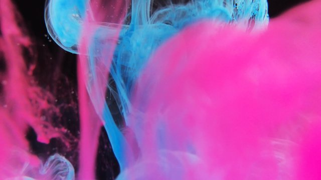 Blue pink clouds of ink in liquid isolated on black
