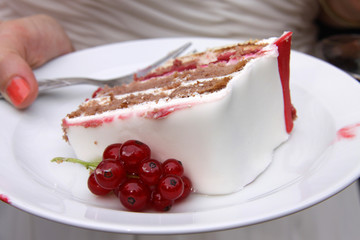 Torte mit roten Johannisbeeren