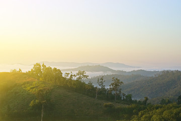 Obraz premium Grass fog and the morning sun light.
