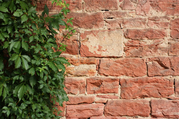 sandstone, texture, wall, background