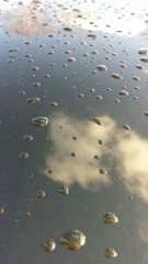 Wassertropfen auf schwarzem Lack