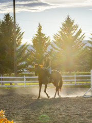 Woman Riding a Horse in Sunny Outdoor Ring
