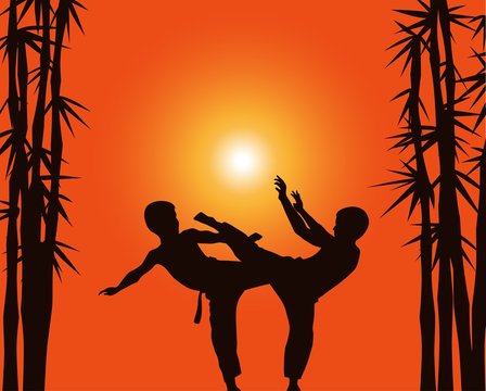 Two boys demonstrate karate on a background a sun.