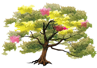 Tree,Big tree on white background,watercolor look with brush stroke ,vector illustration