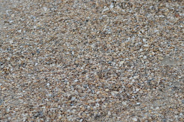 Background from cockleshells and sand