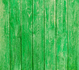  Green pea  wooden planks background - Colorful outer fence deteriorated by time - Closeup of wood...