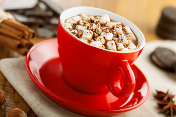 Hot chocolate with marshmallow. Cocoa drink with cookies for dessert.
