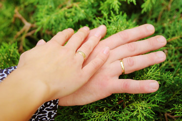 Lovers couple holding hands in a forest